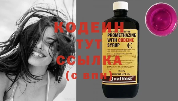 хмурый Тайга