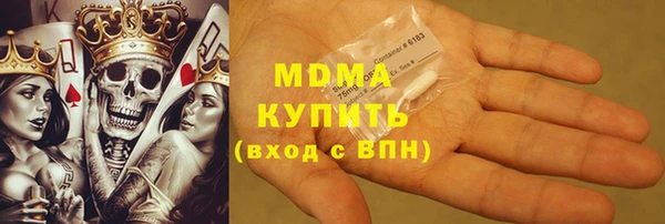 хмурый Тайга