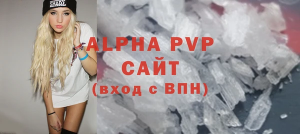 хмурый Тайга