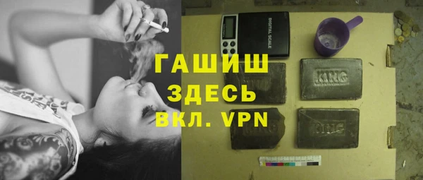 хмурый Тайга