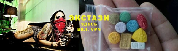 хмурый Тайга