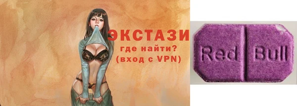 хмурый Тайга