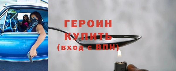 хмурый Тайга