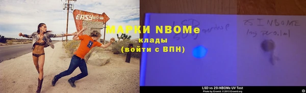 хмурый Тайга