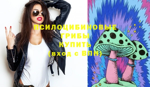 твердый Струнино