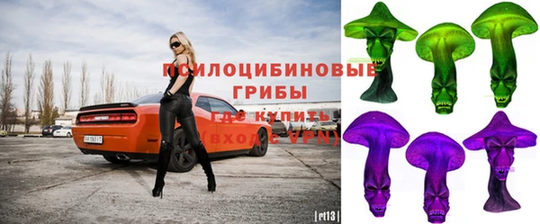твердый Струнино