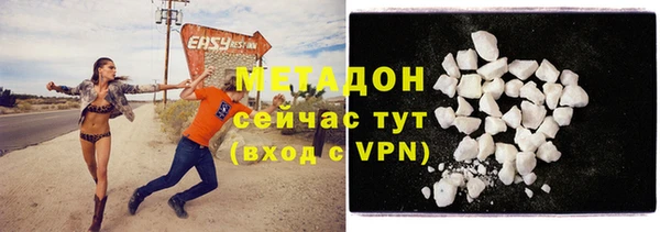 хмурый Тайга