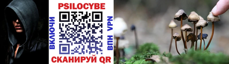 Купить  Лесозаводск  Галлюциногенные грибы мицелий 